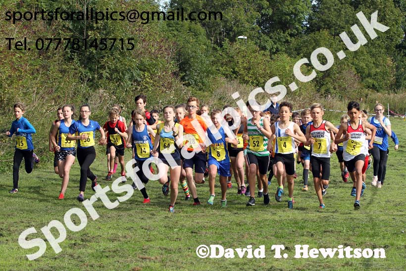 Boys and girls under-13s 2019 Sunderland Harriers Open Cross Country. Photo:  David T. Hewitson/Sports for All Pics
